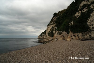 The Jurrasic Coast