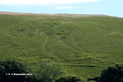 The Cerne Abbas Giant