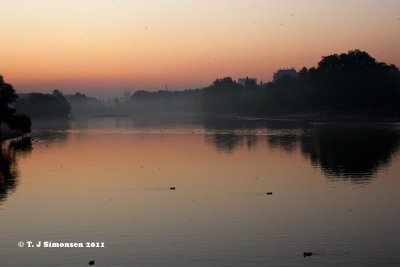 Tranquillity in Hyde Park just before 7am - 4