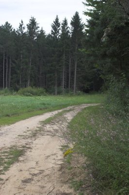 IMG_8173.jpg