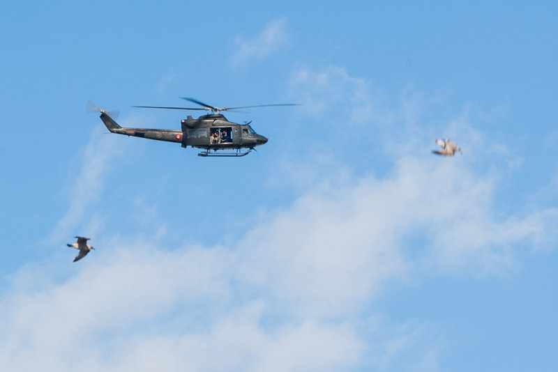 Et av Forsvarets helikoptre. Gammelt som alle hauger, detter vel snart fra hverandre.