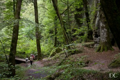 Little Switzerland