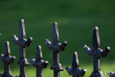 detail, wrought iron gate