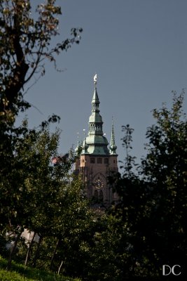 views from Seminarska Garden