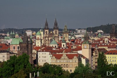 views from Seminarska Garden