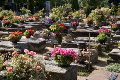 cemetery in Nuremberg