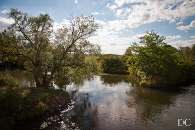 views from the River Main