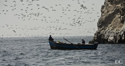 fishermen near Islas Ballestas, Peru