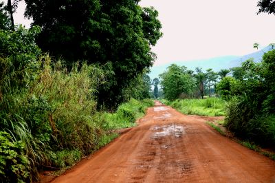 Ring Road, Ndop Plain