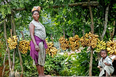 Banana seller, Douala-Bamenda road