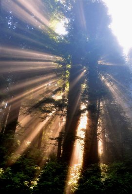 Northern California