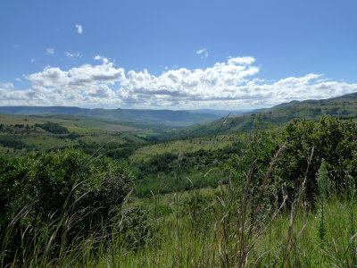 P1000637.JPG