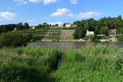 Elbe2.JPG