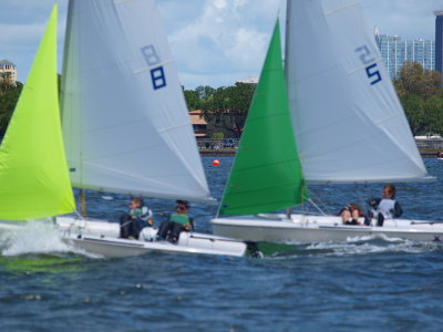 P4223090.JPG