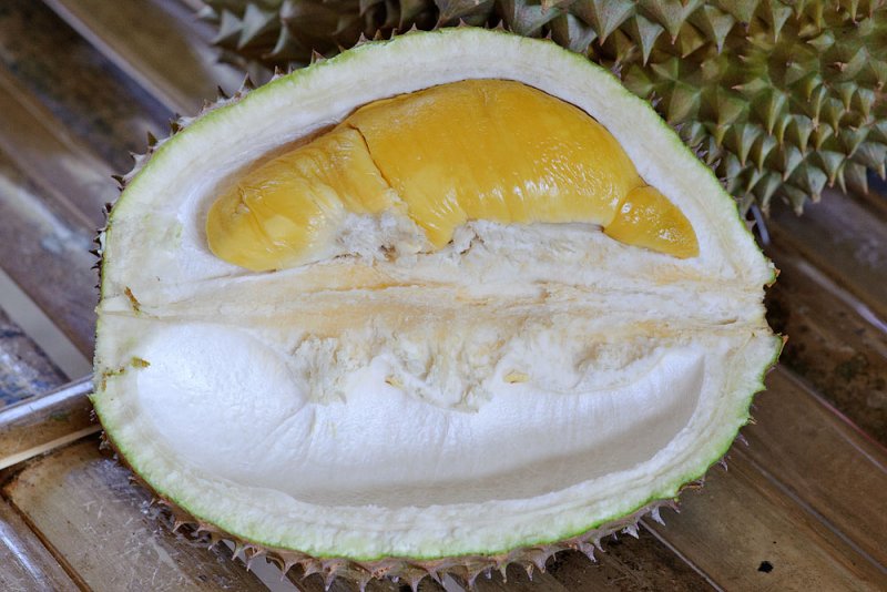 Musang king