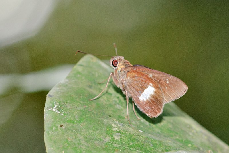 _LC87023.jpg
