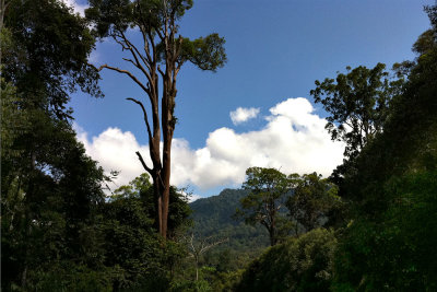 Maliau Basin - Sabah