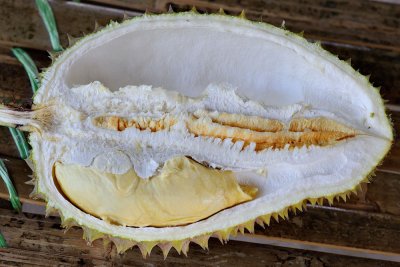 Zhu kiok
