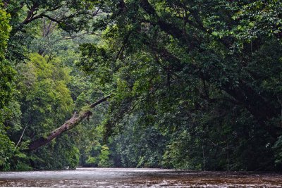 Lata Berkoh - Taman Negara