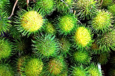 Yellow Rambutan