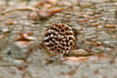 LC2_0209x.jpg