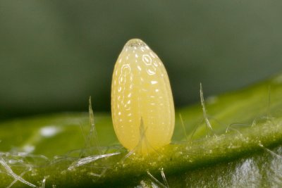 _MG_1652x.jpg