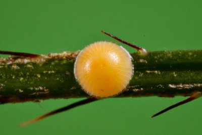 _MG_1728x.jpg