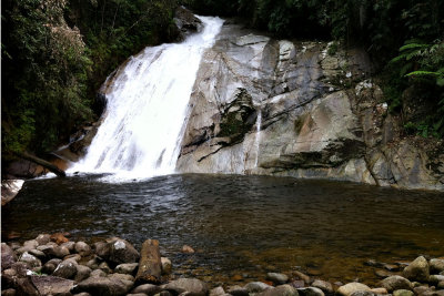 Lata Berumbun