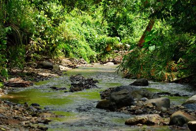 Bogani Nani Wartabone National Park