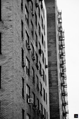 091018 1 099 .jpg
