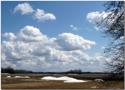 Prairie Sky