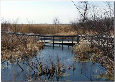 Oak Hammock Marsh