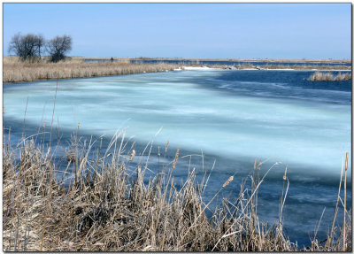 Icy Ponds
