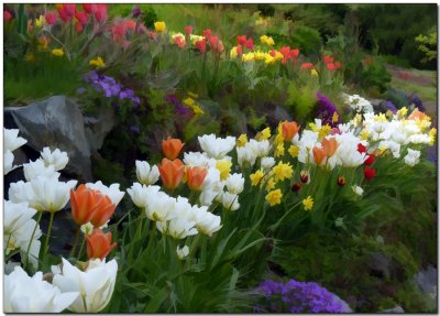 Rock Garden Watercolour