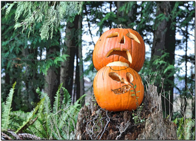 Mr & Mrs Jack-O-Lantern