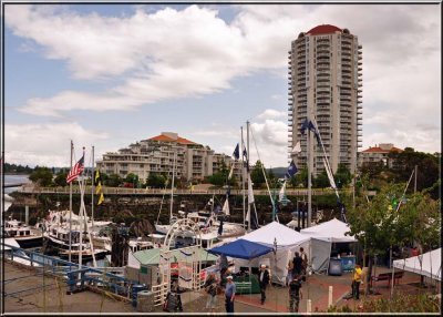 The Harbour