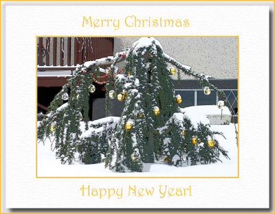 Merry Christmas