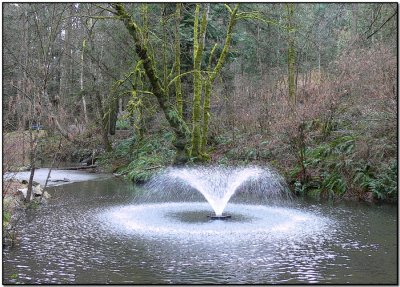 The Fountain