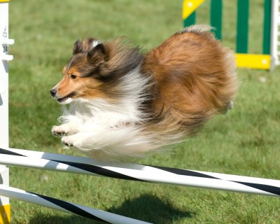 AG_04_DSC_0303.jpg
