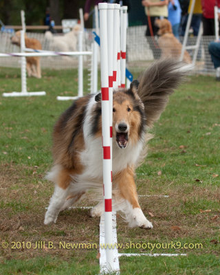 AG_07_DSC_7513_Skippy.jpg