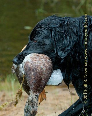 DSC_5633.jpg