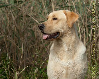 DSC_6982_FB.jpg