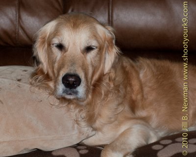 DSC_7348.jpg