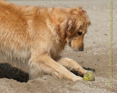 DSC_7467.jpg
