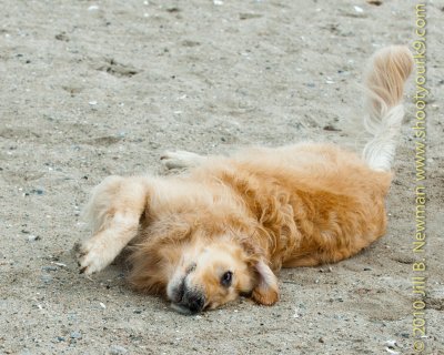 DSC_7558.jpg