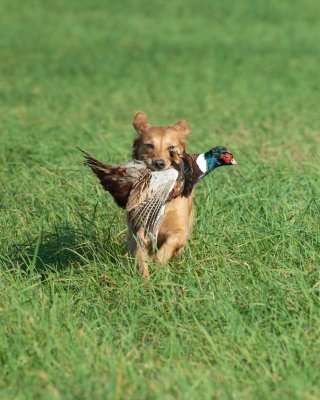 DSC_8910.jpg