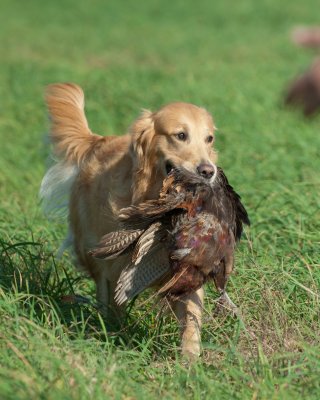 DSC_9072.jpg