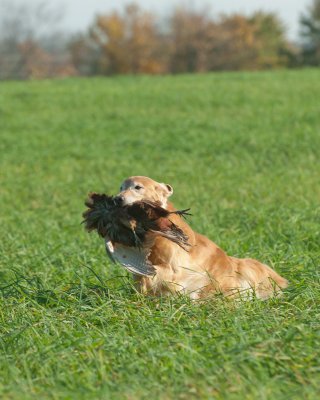 DSC_8871_Buddy.jpg