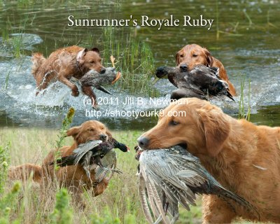 Montage_Ruby_11x14_2.jpg