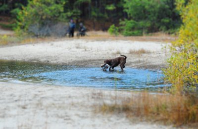 Mini_huntTest_DSC_0398.jpg